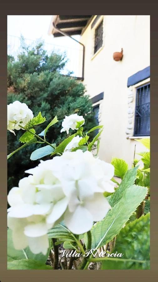 Villa Polercia Cupello Zewnętrze zdjęcie